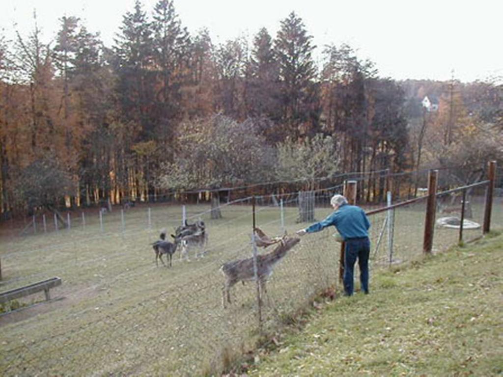 Pension Weber Jennersdorf Bagian luar foto